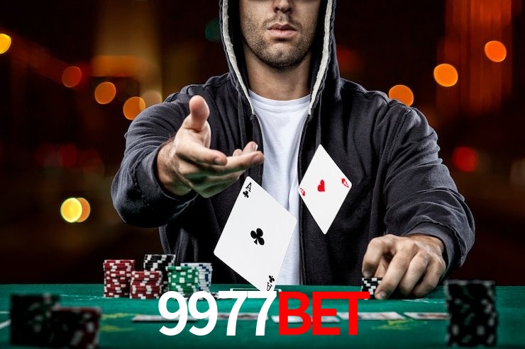 9977bet,9977bet.com